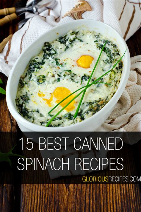 Delicious Canned Spinach Recipes to Try Today